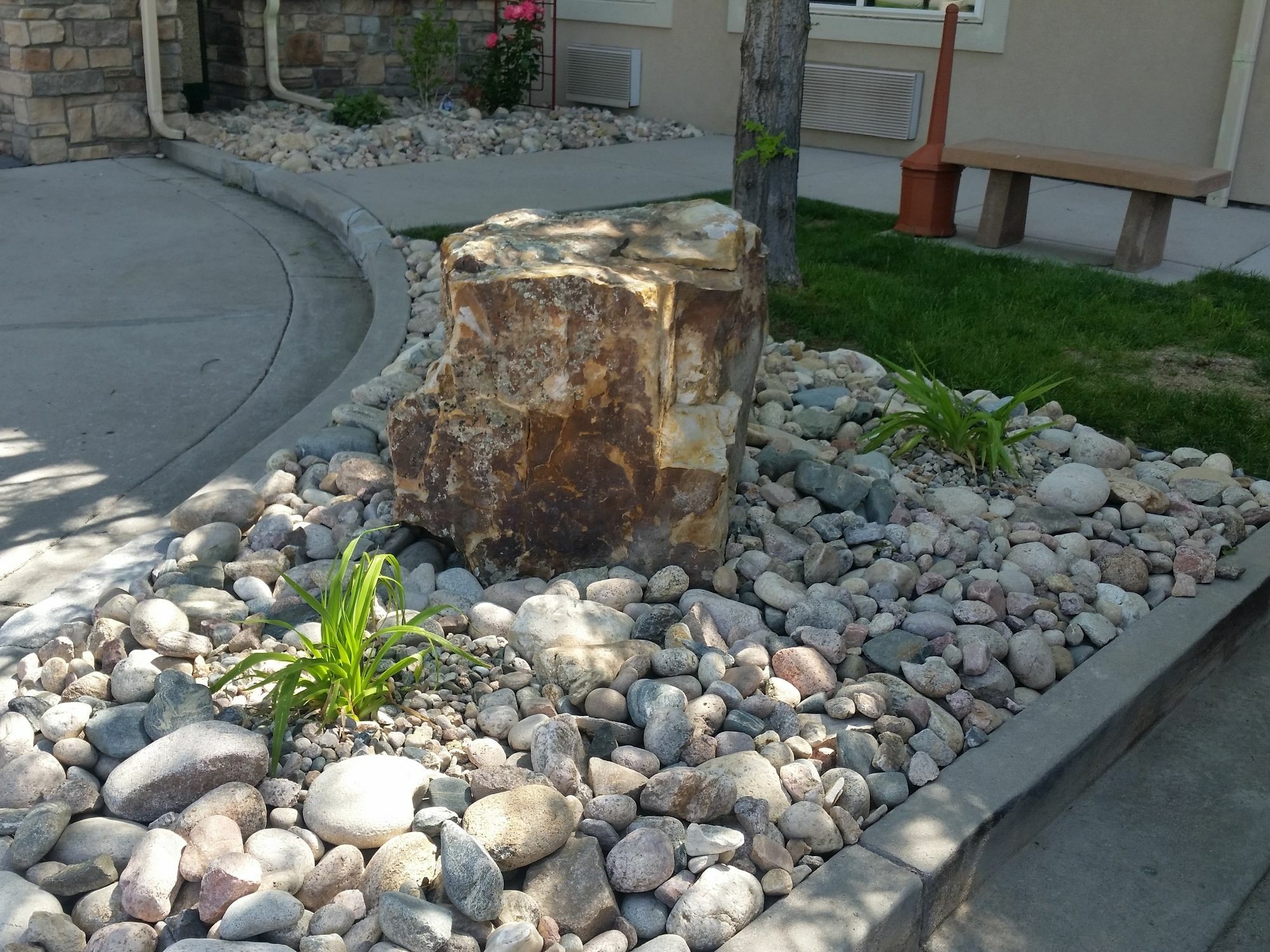 Comfort Inn Fort Collins North Esterno foto